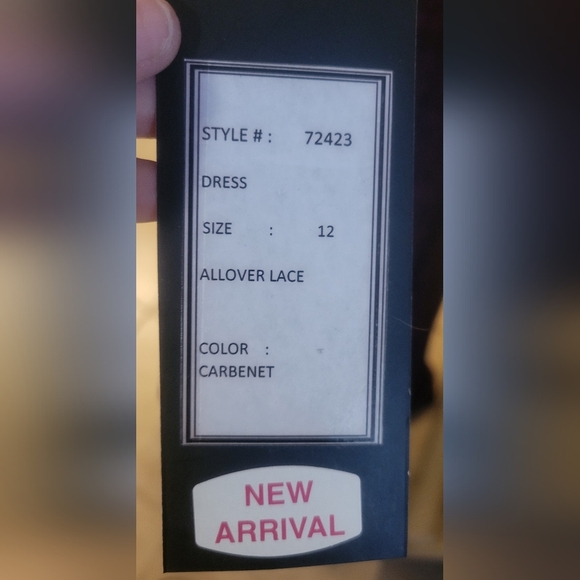 Elegant Lace Evening Gown in Deep Burgundy - Picture 6 of 7